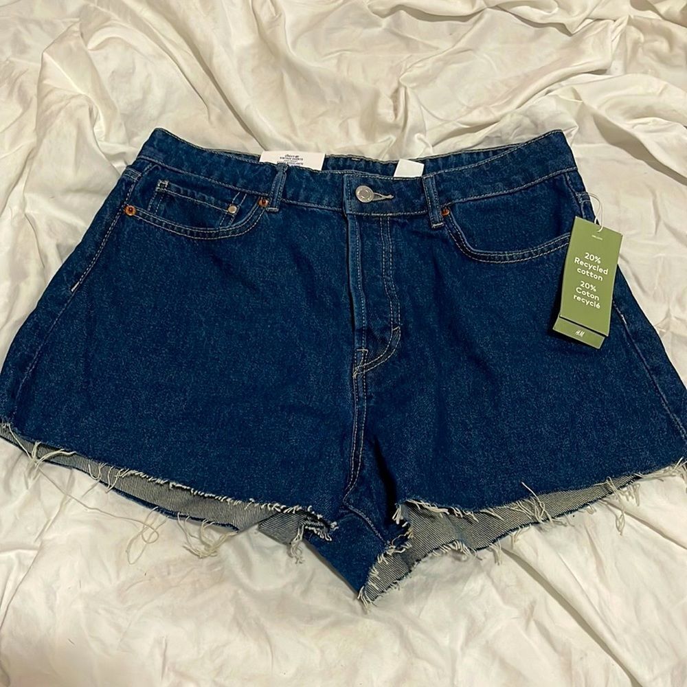 NWT- H&M- 6. Vintage Short